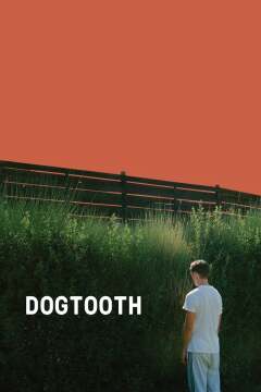 ეშვი / Dogtooth