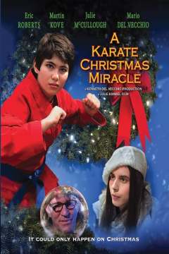 კარატე საშობაო სასწაული / A Karate Christmas Miracle